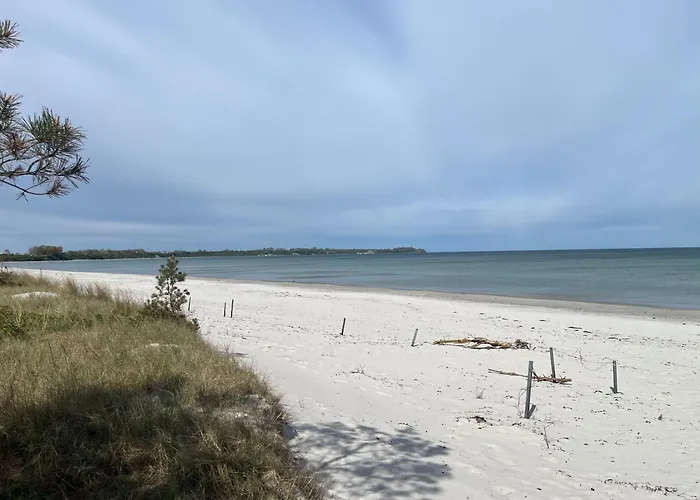 Am 16 * 줄리우스루